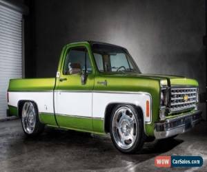 Classic 1976 Chevrolet Other Pickups SCOTTSDALE for Sale