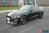 Classic 2017 Ford Mustang Shelby GT350R Coupe 2-Door for Sale