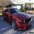 Classic 2007 Ford Mustang Saleen for Sale