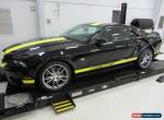 2014 Ford Mustang GT Coupe 2-Door for Sale