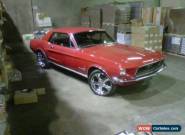 Ford: Mustang for Sale