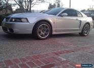 2003 Ford Mustang SVT Cobra Coupe 2-Door for Sale