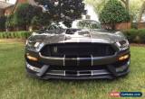 Classic 2016 Ford Mustang Shelby GT350 Coupe 2-Door for Sale