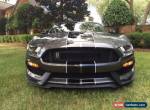 2016 Ford Mustang Shelby GT350 Coupe 2-Door for Sale