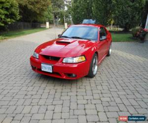 Classic 1999 Ford Mustang for Sale