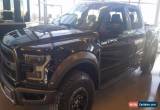 Classic 2017 Ford F-150 RAPTOR for Sale