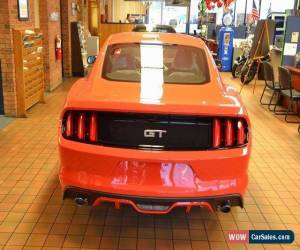 Classic 2015 Ford Mustang 2dr Fastback GT for Sale