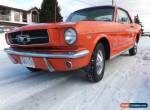 1965 Ford Mustang for Sale