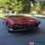 Classic 1965 Alfa Romeo Spider SPIDER for Sale