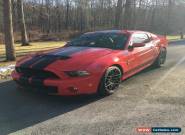 2014 Ford Mustang Shelby GT500 Coupe 2-Door for Sale