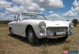 Classic 1962  MK2 AUSTIN HEALEY SPRITE for Sale