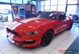 Classic 2016 Ford Mustang Shelby GT350 Coupe 2-Door for Sale