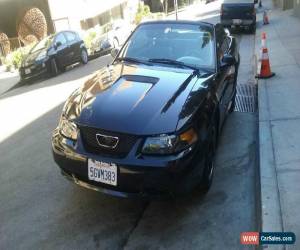 Classic 2000 Ford Mustang Base Convertible 2-Door for Sale