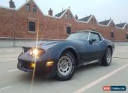 1981 Chevrolet Corvette Base Coupe 2-Door for Sale