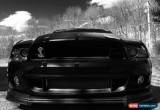 Classic 2014 Ford Mustang Shelby GT500 Coupe 2-Door for Sale