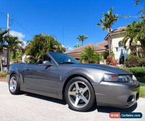 Classic 2003 Ford Mustang SVT Cobra Convertible 2-Door for Sale