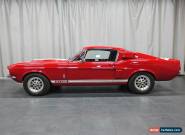 Shelby: GT500 Fastback for Sale