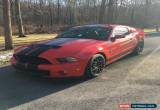 Classic 2014 Ford Mustang Shelby GT500 Coupe 2-Door for Sale