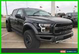 Classic 2017 Ford F-150 Raptor for Sale