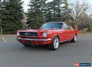 1965 Ford Mustang Base Fastback 2-Door for Sale