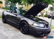 2003 Ford Mustang SVT Cobra Convertible 2-Door for Sale