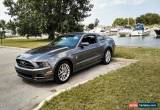 Classic 2014 Ford Mustang Pony Package for Sale