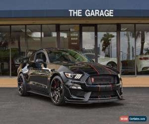 Classic 2016 Ford Mustang Shelby GT350R for Sale
