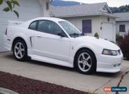 Ford: Mustang Roush for Sale