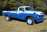 Classic Studebaker: Transtar Pickup for Sale