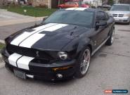 2007 Ford Mustang Mustang for Sale