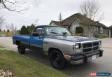 Classic Dodge: Other Pickups for Sale