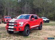 2017 Ford F-150 Shelby for Sale