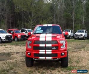 Classic 2017 Ford F-150 Shelby for Sale