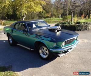 Classic Ford: Mustang Fastback for Sale