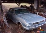 1966 Ford Mustang Coupe for Sale