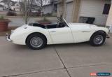 Classic Austin Healey: 100-6 BN4 for Sale