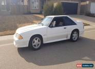 Ford: Mustang GT for Sale