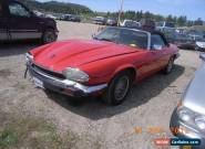 1993 Jaguar XJS for Sale