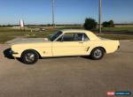 1966 Ford Mustang -- for Sale