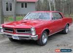 1965 Pontiac GTO for Sale