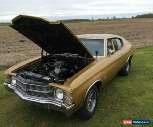 Classic Chevrolet: Chevelle for Sale