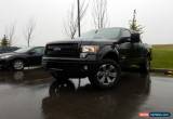 Classic 2013 Ford F-150 for Sale
