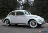 Classic Volkswagen: Beetle - Classic Type 1 Deluxe for Sale