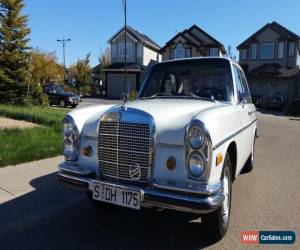 Classic Mercedes-Benz: 200-Series for Sale