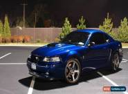 2000 Ford Mustang for Sale