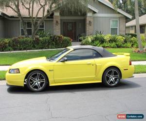 Classic 2001 Ford Mustang GT Convertible for Sale