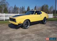 1973 Ford Mustang for Sale