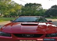 2003 Ford Mustang Mustang GT for Sale