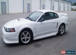 Ford: Mustang ROUSH for Sale