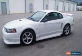 Classic Ford: Mustang ROUSH for Sale